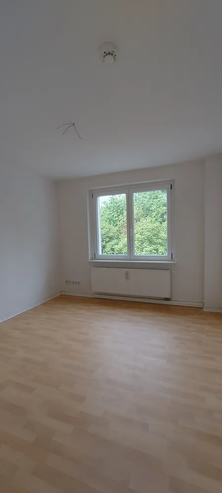 3 room apartment with 68 m² in Dresden – Photo 3