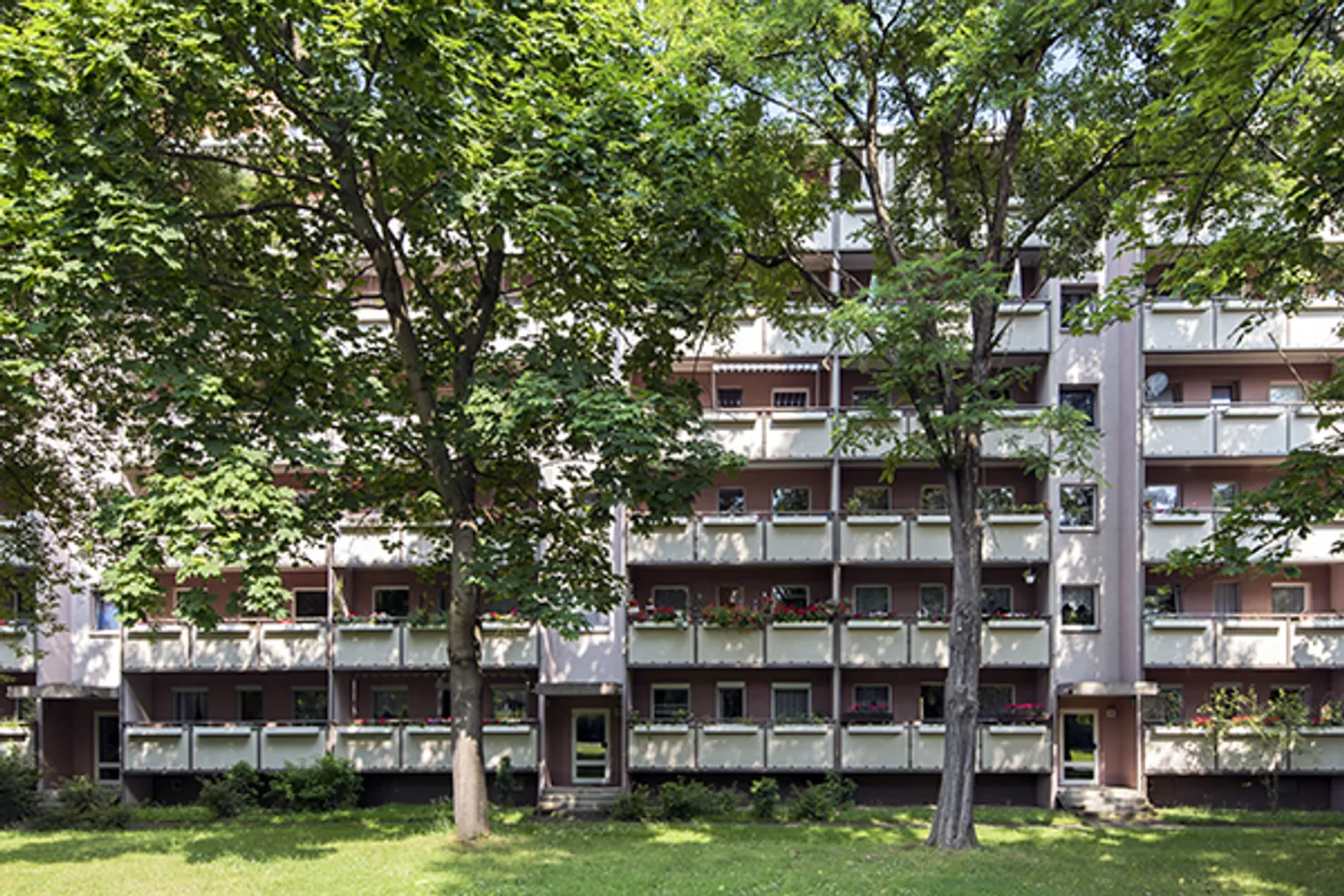 4 Zimmer Wohnung mit 77 m² in Dresden – Bild 1