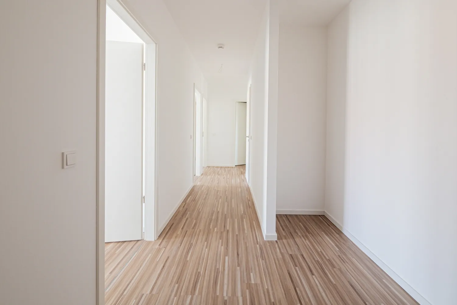4 Zimmer Wohnung mit 101 m² in Dresden – Bild 2