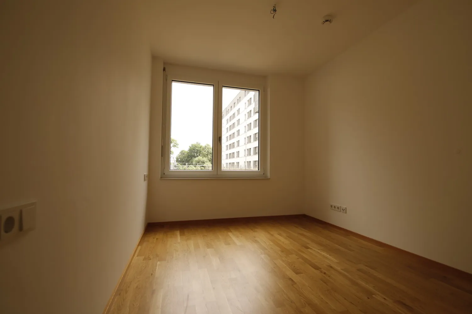 2 Zimmer Wohnung mit 40 m² in Dresden – Bild 2