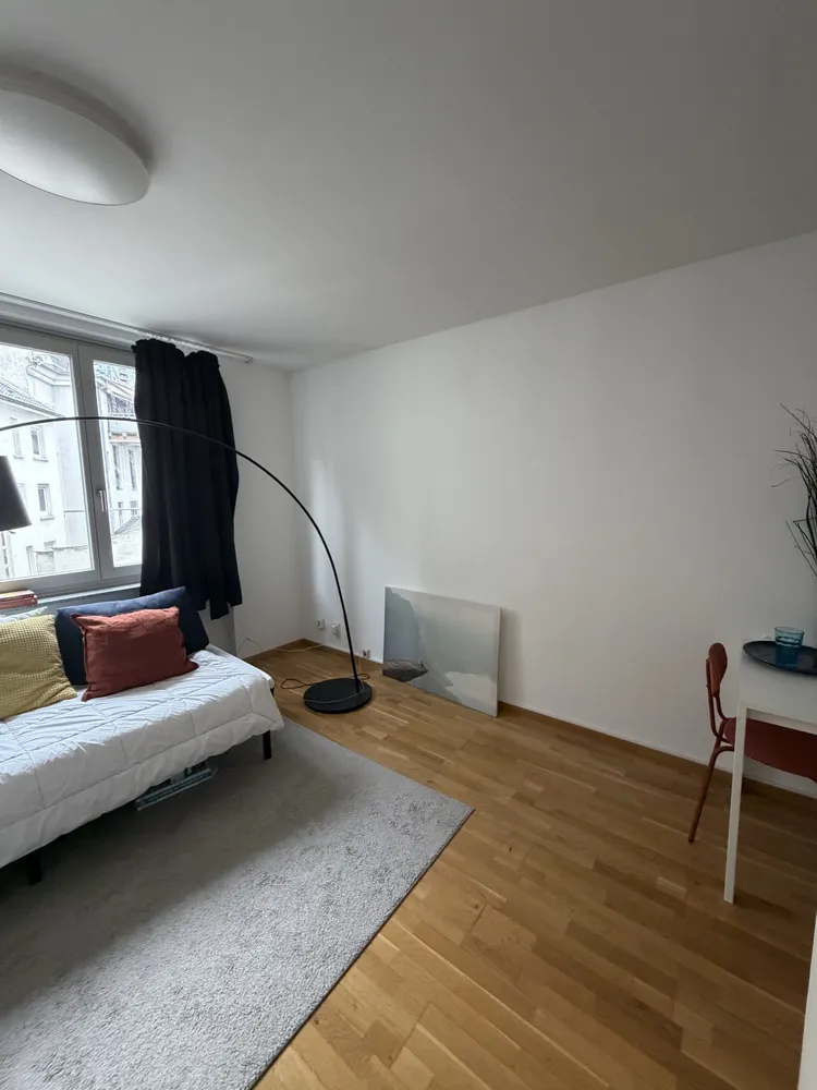 1 Zimmer Wohnung mit 24 m² in Frankfurt am Main – Bild 1