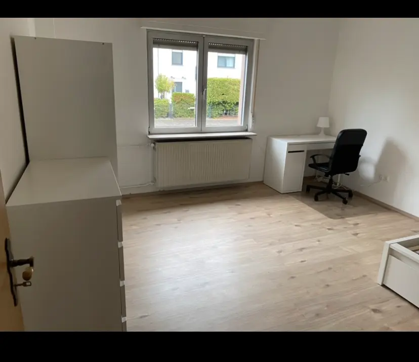 WG-Zimmer mit 170 m² in Rodgau – Bild 7