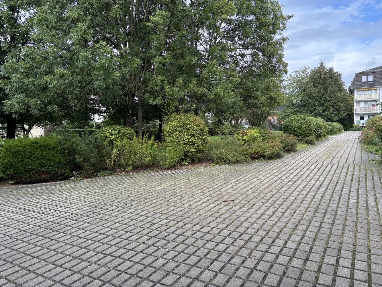 2 room apartment with 48 m² in Chemnitz – Photo 3