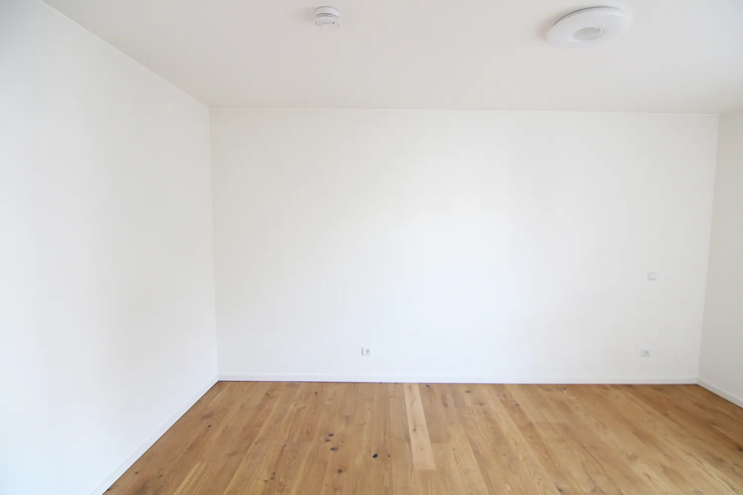 2 room apartment with 53 m² in Königs Wusterhausen – Photo 2