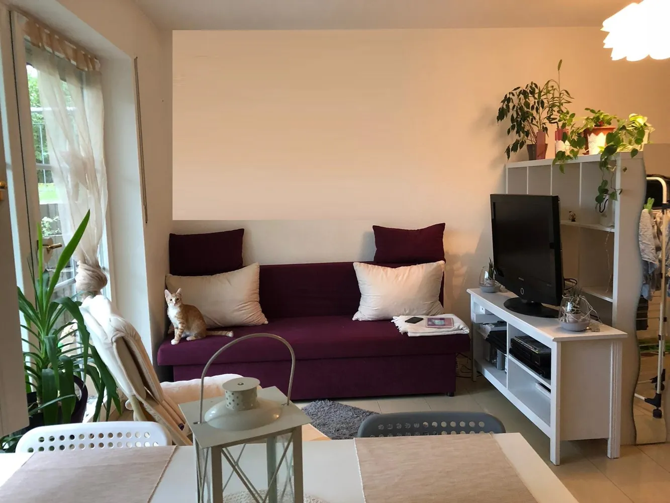 1 Zimmer Wohnung mit 37 m² in Dresden – Bild 4