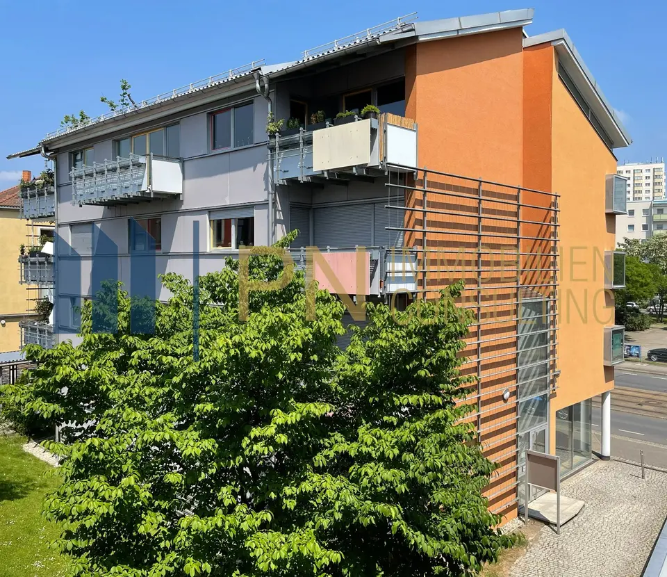 3 Zimmer Wohnung mit 80 m² in Dresden – Bild 1