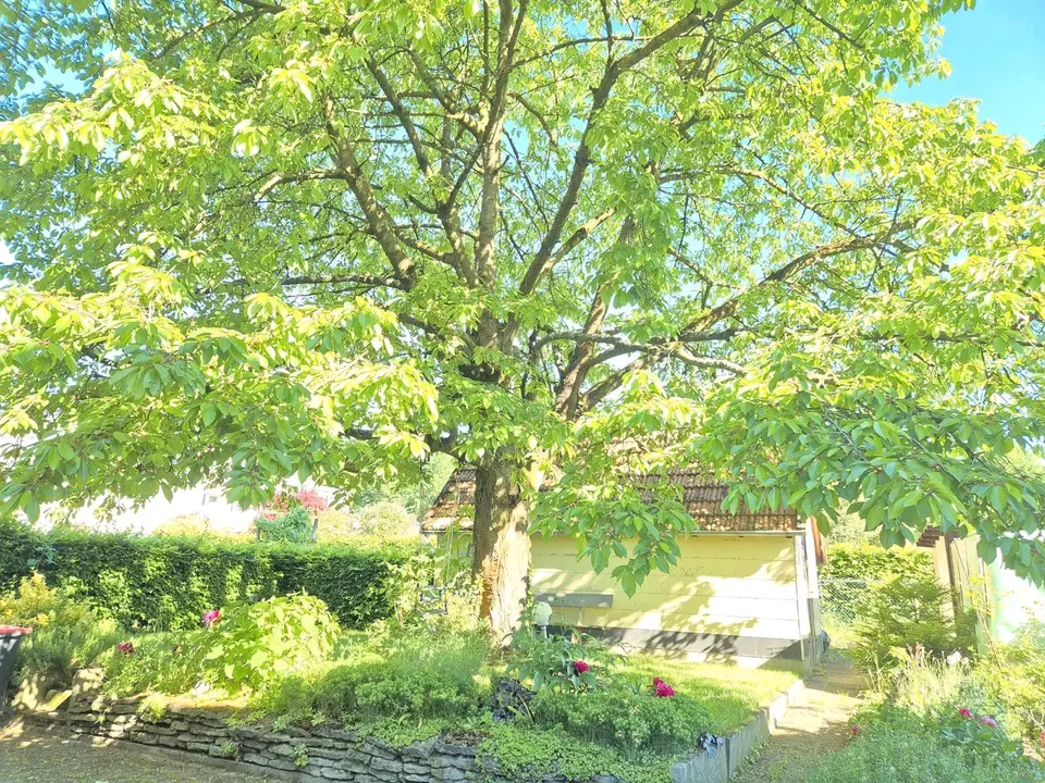 3 Zimmer Wohnung mit 80 m² in Bielefeld – Bild 10