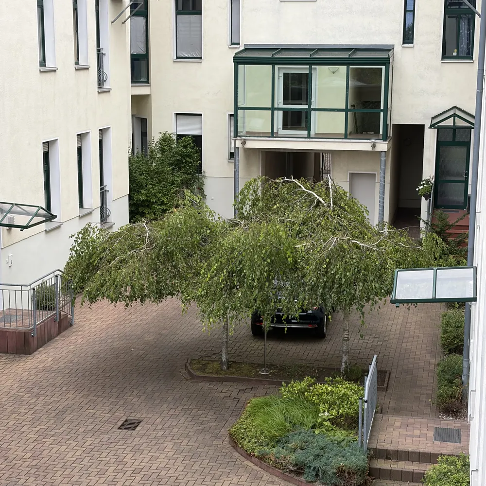 3 Zimmer Wohnung mit 78 m² in Magdeburg – Bild 3