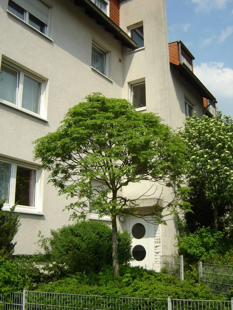 5 Zimmer Wohnung mit 86 m² in Essen – Bild 2