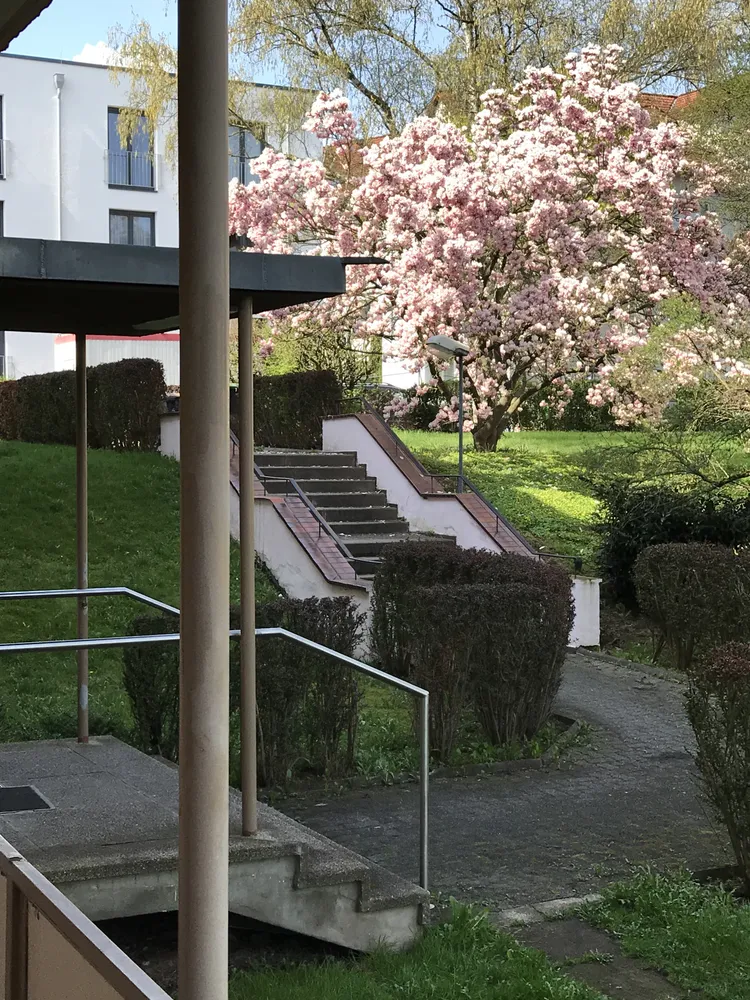 3 Zimmer Wohnung mit 60 m² in Kassel – Bild 3