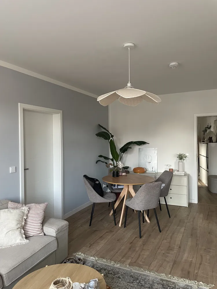2 Zimmer Wohnung mit 57 m² in Dresden – Bild 2