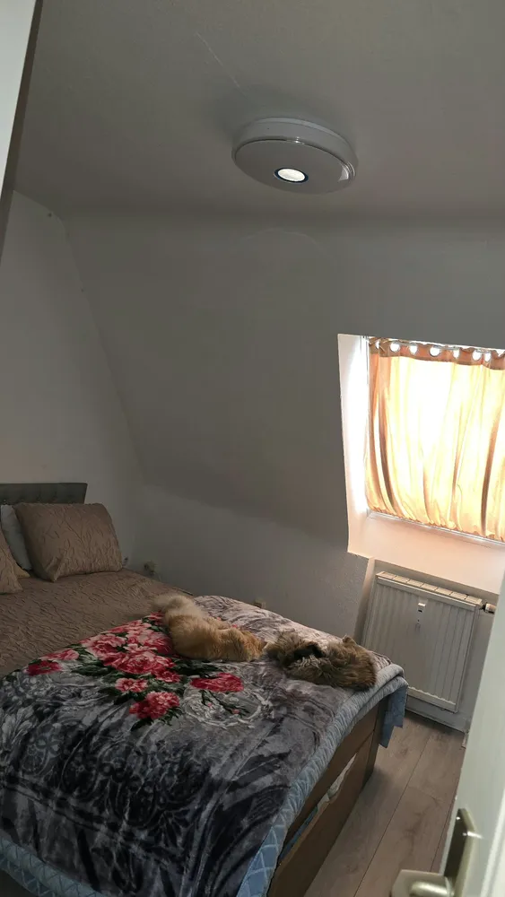 2 room apartment with 40 m² in Pirmasens – Photo 6