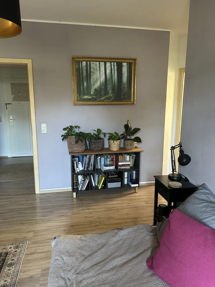 2 Zimmer Wohnung mit 48 m² in Dresden – Bild 2