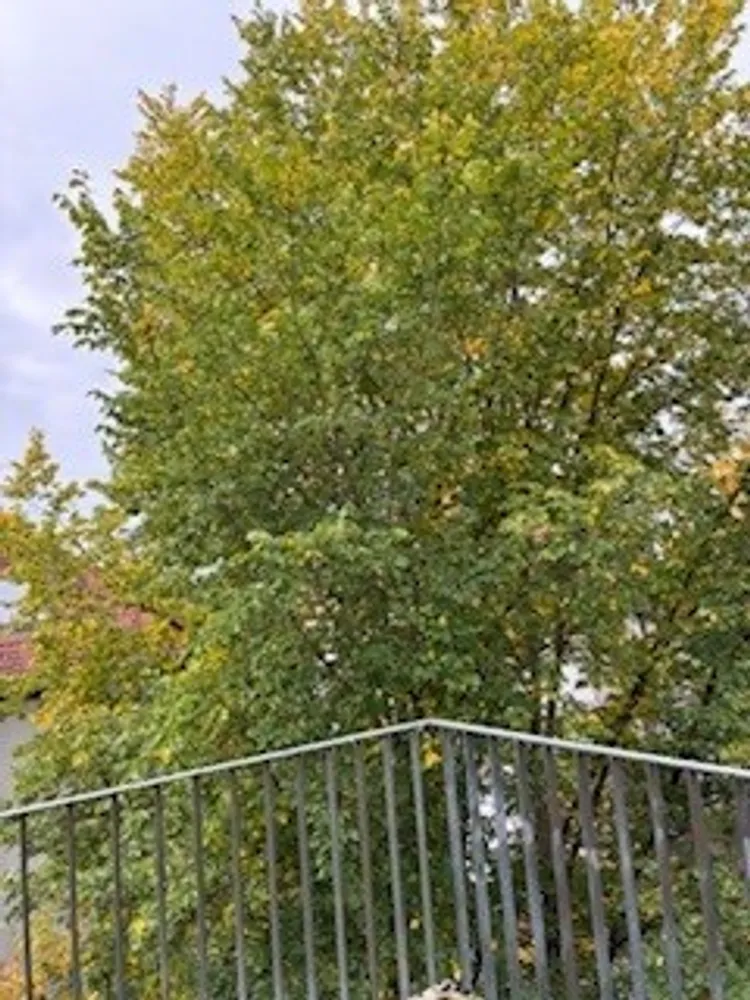 2 Zimmer Wohnung mit 61 m² in Berlin – Bild 3