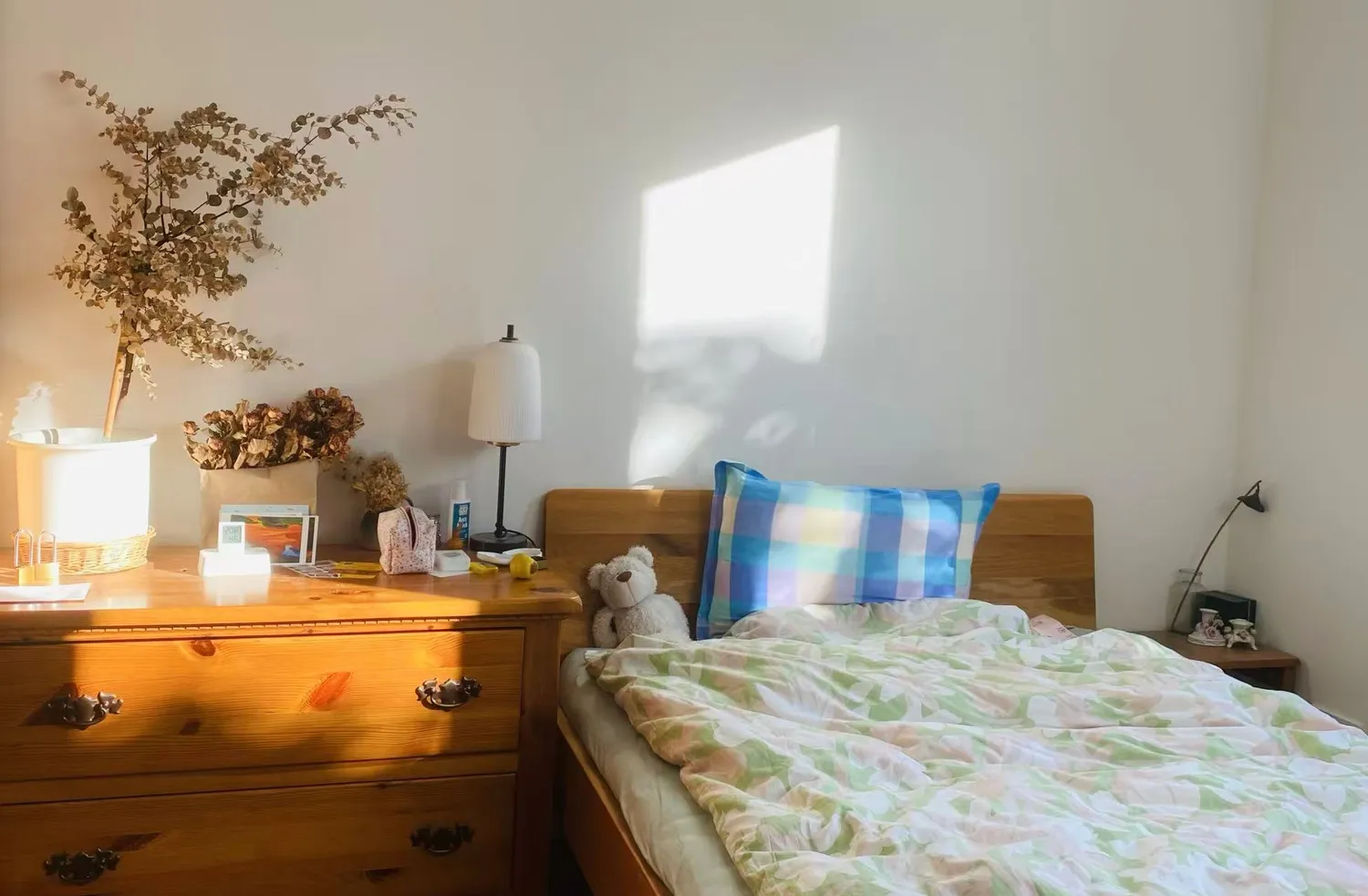 1 Zimmer Wohnung mit 50 m² in Mainz – Bild 1