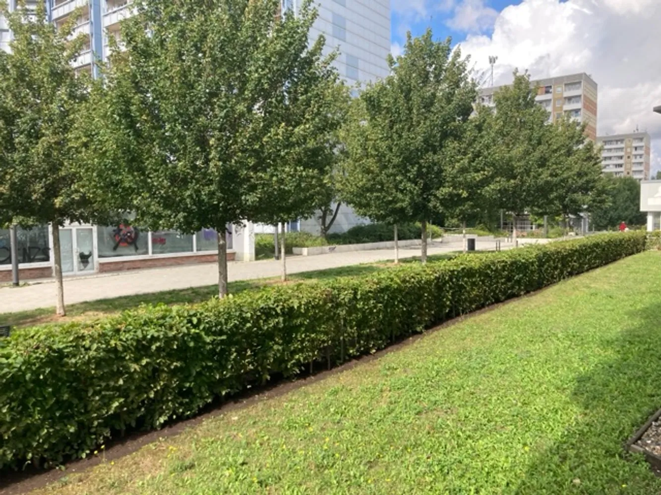 2 Zimmer Wohnung mit 53 m² in Erfurt – Bild 1