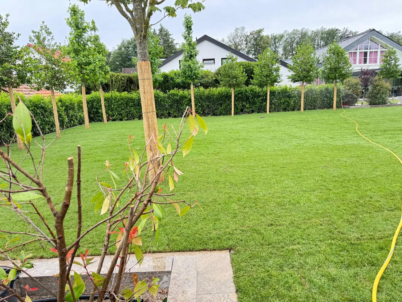 3 room house with 67 m² in Neu-Isenburg – Photo 8