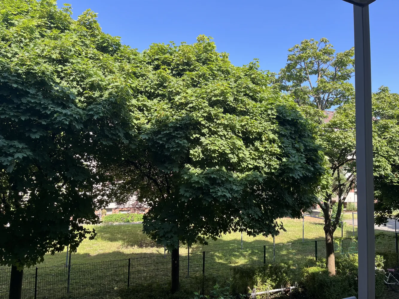 2 Zimmer Wohnung mit 49 m² in Dresden – Bild 10