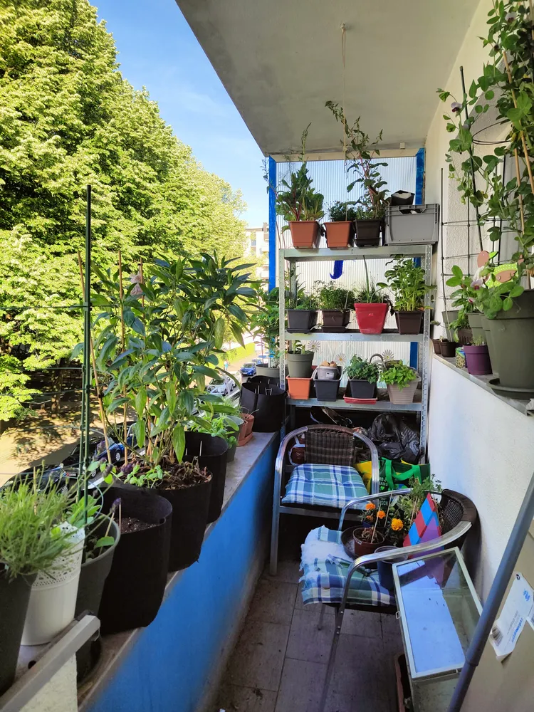 3 Zimmer Wohnung mit 66 m² in Köln – Bild 2