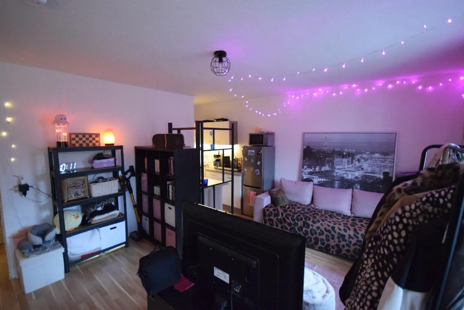 1 Zimmer Wohnung mit 28 m² in Braunschweig – Bild 2
