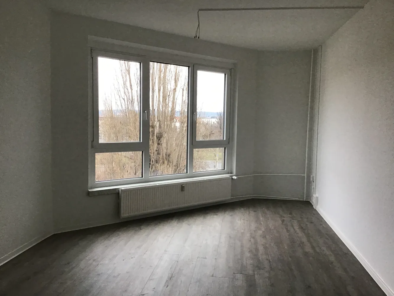3 room apartment with 61 m² in Dresden – Photo 3