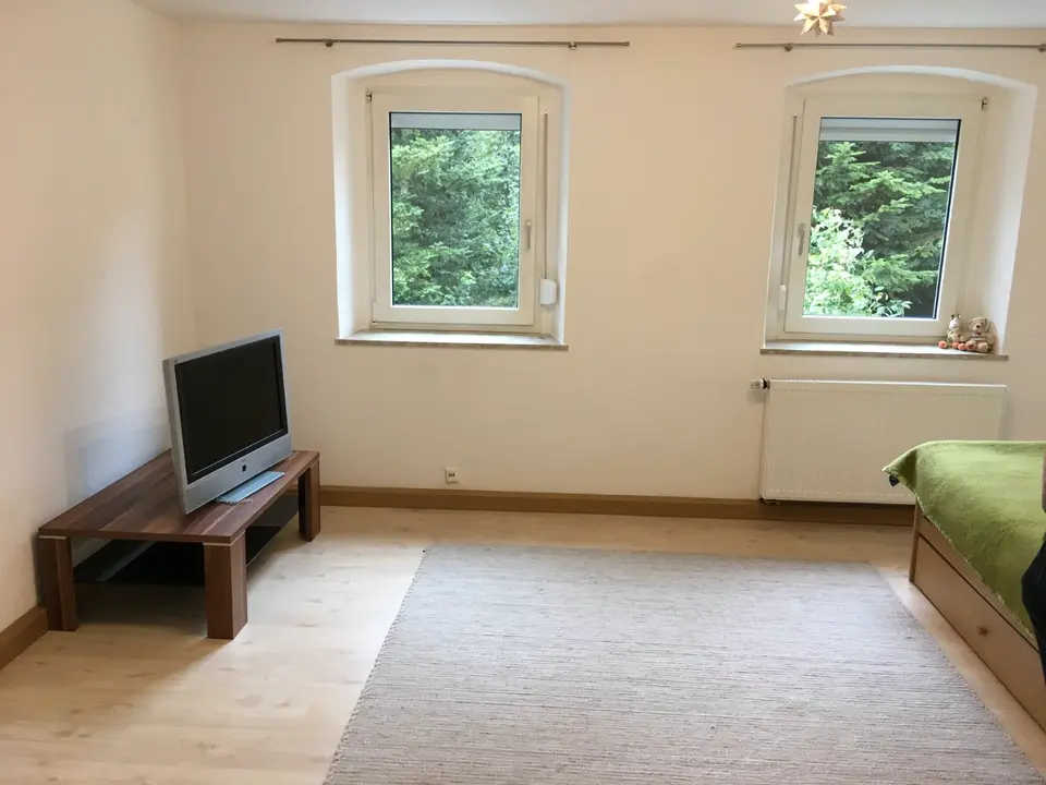 2 Zimmer Wohnung mit 35 m² in Hof – Bild 1