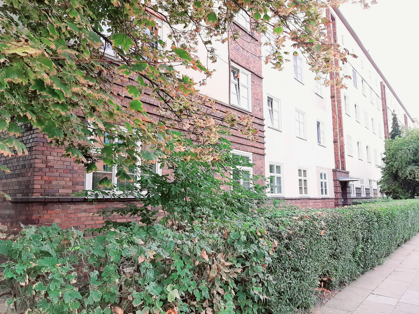 3 room apartment with 58 m² in Magdeburg – Photo 1