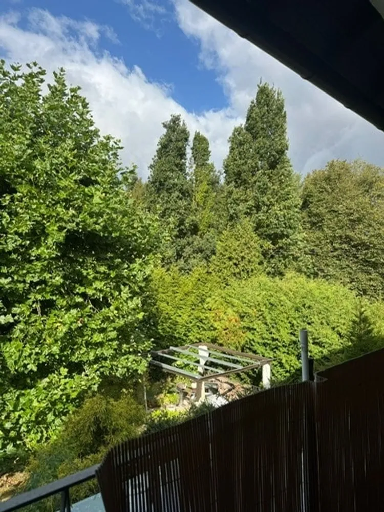 3 Zimmer Wohnung mit 94 m² in Kassel – Bild 4