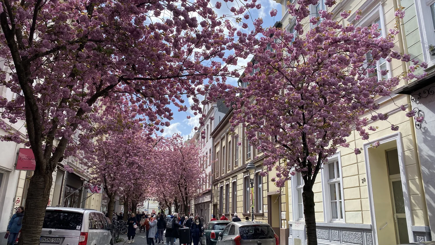 3 Zimmer Wohnung mit 100 m² in Bonn – Bild 12