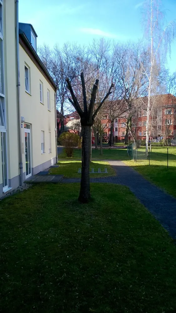 2 room apartment with 63 m² in Leipzig – Photo 10