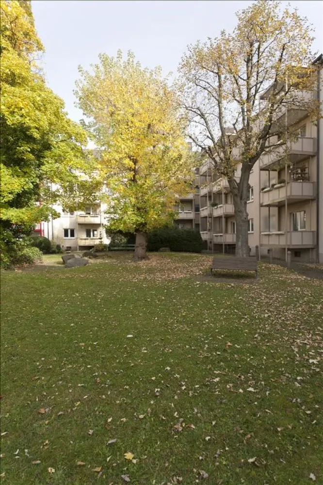 3 Zimmer Wohnung mit 50 m² in Hagen – Bild 4