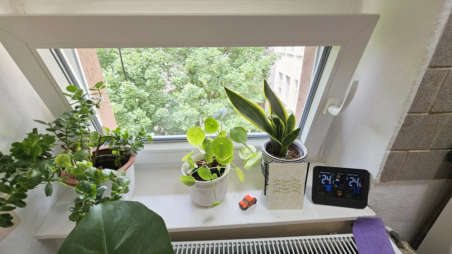 1 Zimmer Wohnung mit 30 m² in Frankfurt am Main – Bild 12