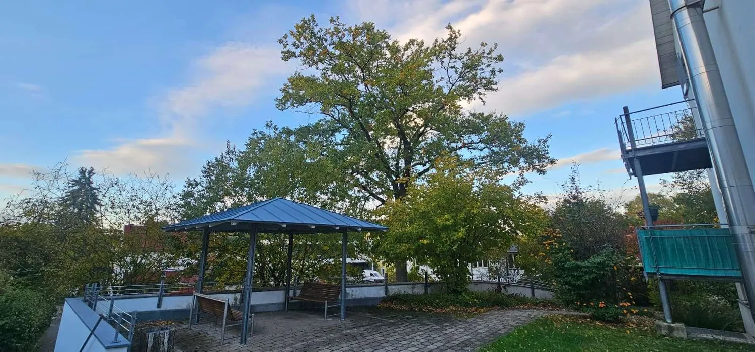 1 Zimmer Wohnung mit 50 m² in Chemnitz – Bild 6