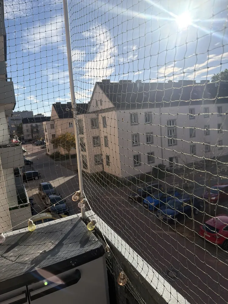 3 Zimmer Wohnung mit 62 m² in Frankfurt (Oder) – Bild 6
