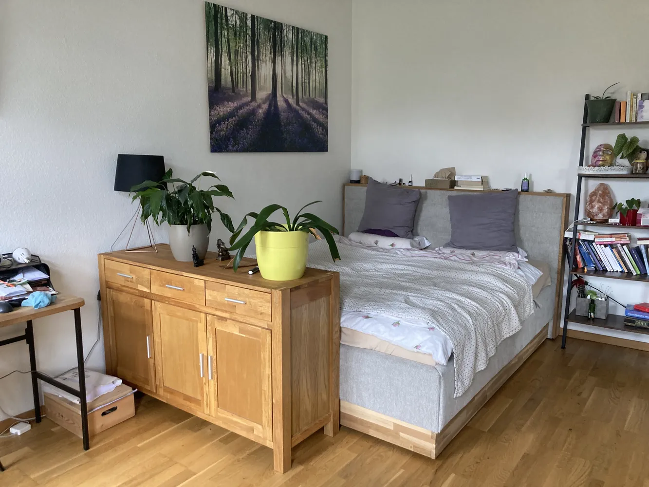 3 Zimmer Wohnung mit 75 m² in Dresden – Bild 2