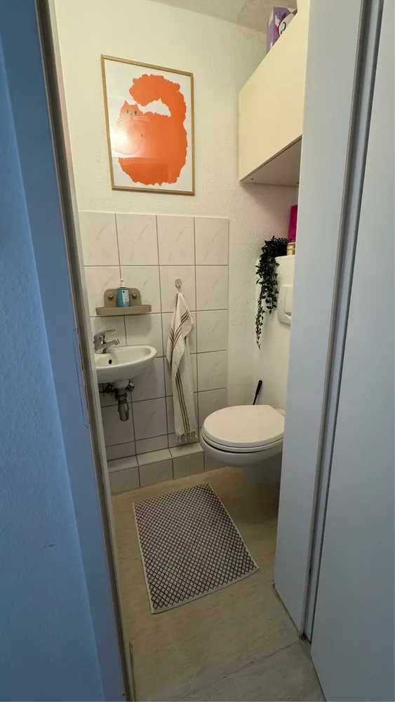 1 room apartment with 33 m² in Gießen – Photo 3