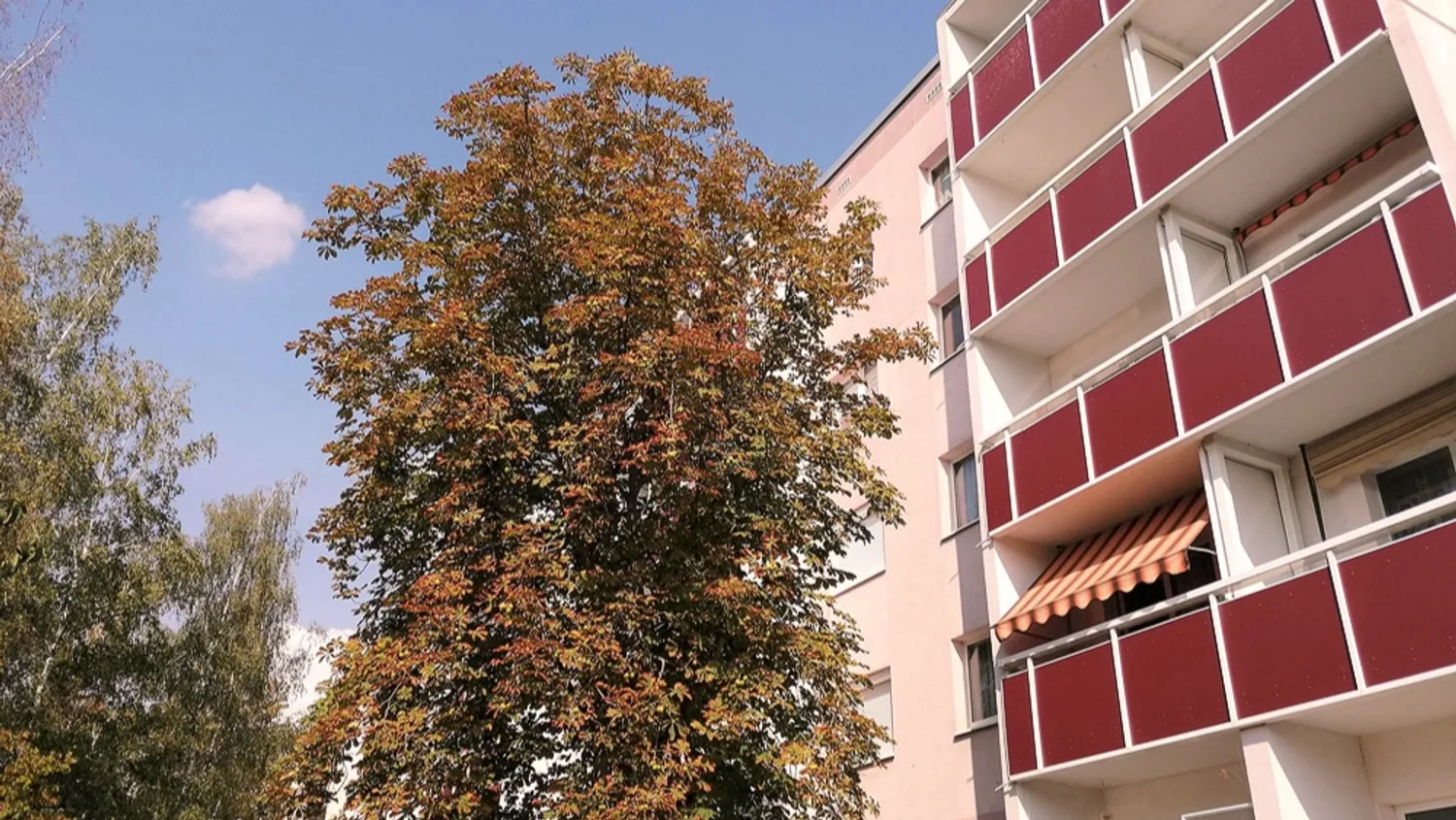 3 Zimmer Wohnung mit 58 m² in Halle (Saale) – Bild 1