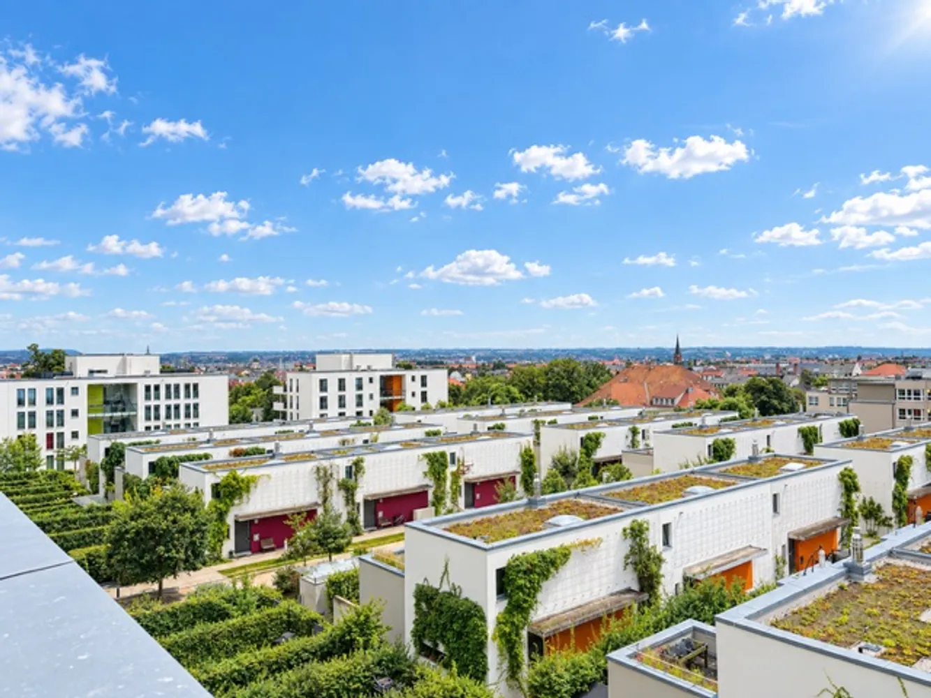 4 Zimmer Wohnung mit 151 m² in Dresden – Bild 3
