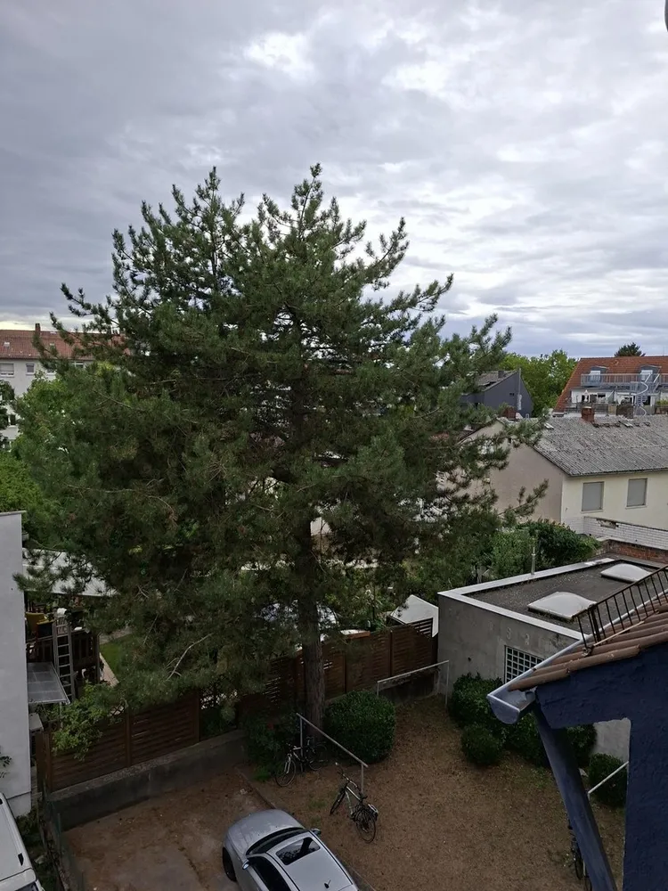 2 Zimmer Wohnung mit 55 m² in Darmstadt – Bild 2