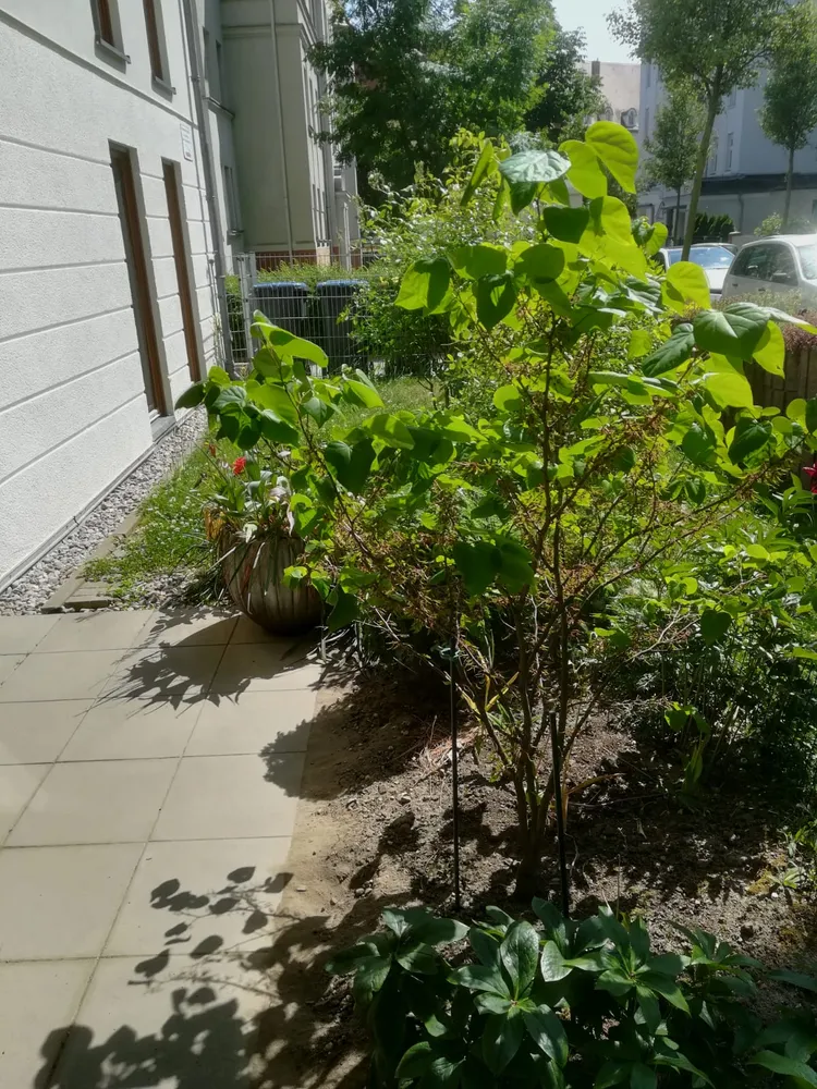 2 Zimmer Wohnung mit 74 m² in Leipzig – Bild 1