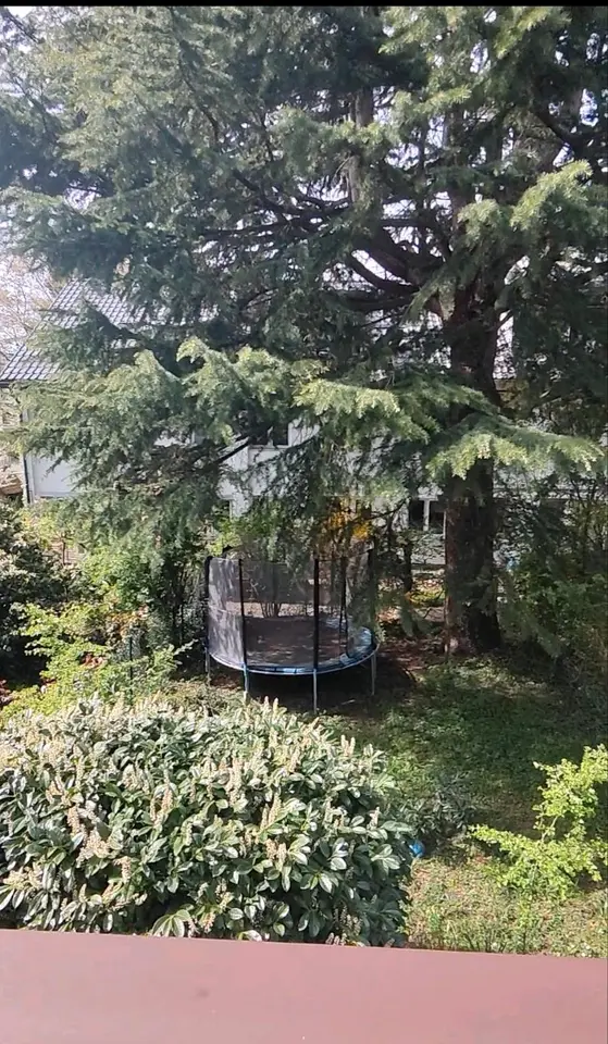WG-Zimmer mit 29 m² in Heidelberg – Bild 7