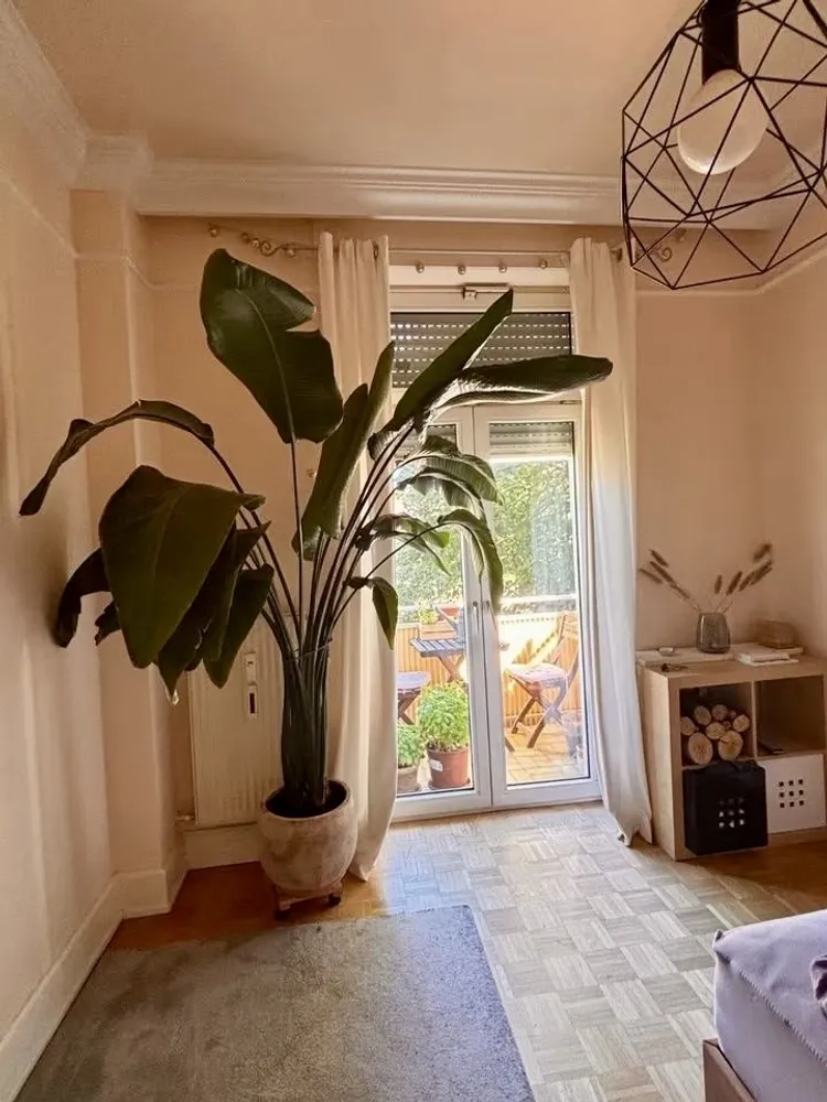 2 Zimmer Wohnung mit 73 m² in Frankfurt am Main – Bild 9