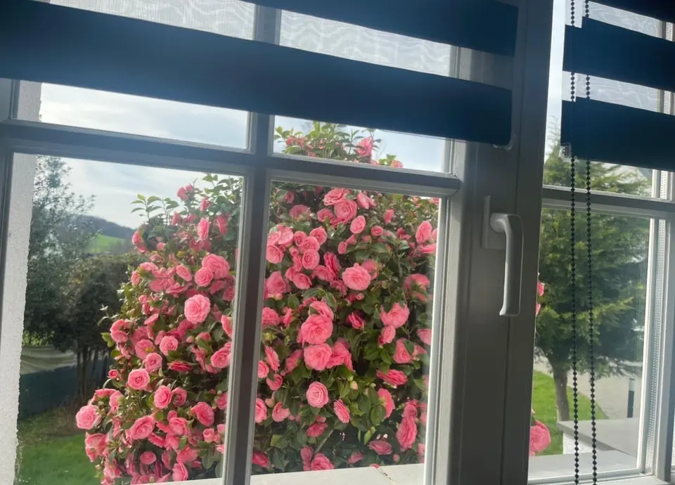4 Zimmer Haus mit 260 m² in Bergisch Gladbach – Bild 5