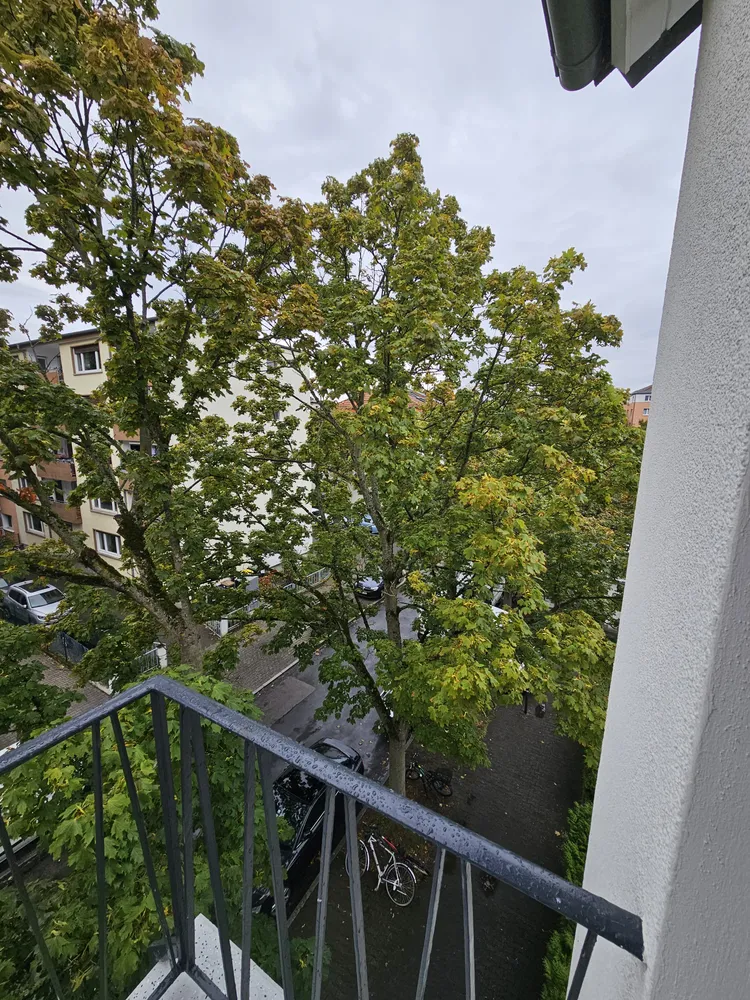 4 room apartment with 67 m² in Frankfurt am Main – Photo 2