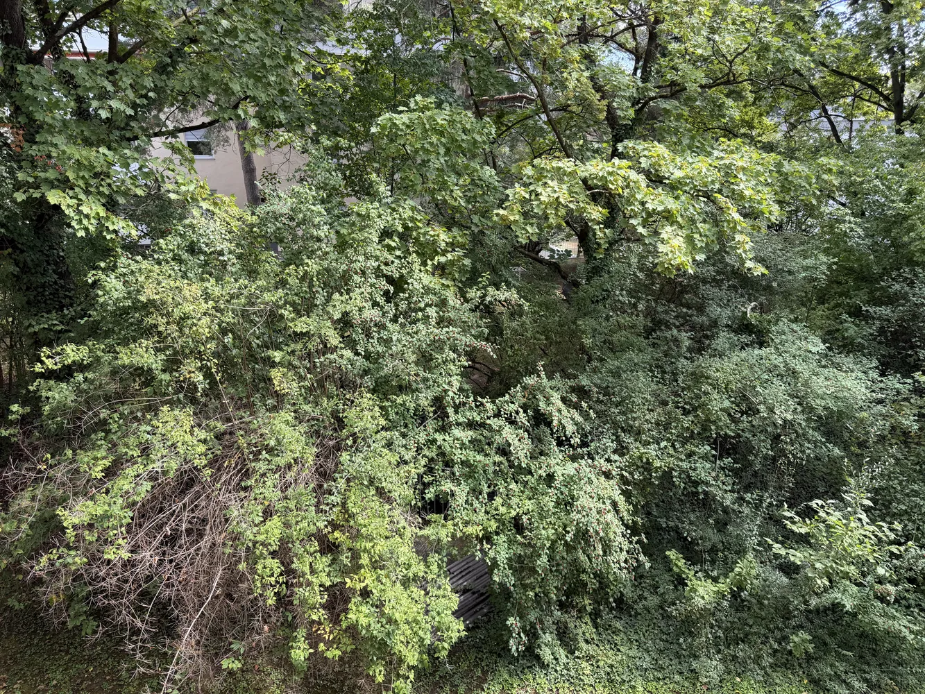 1 Zimmer Wohnung mit 32 m² in München – Bild 9