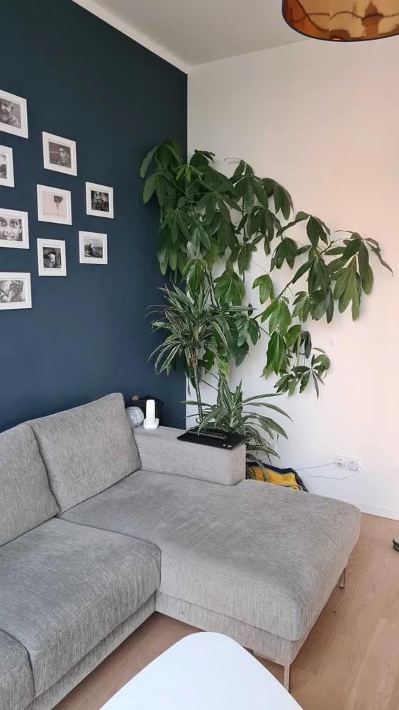 3 Zimmer Wohnung mit 96 m² in München – Bild 8