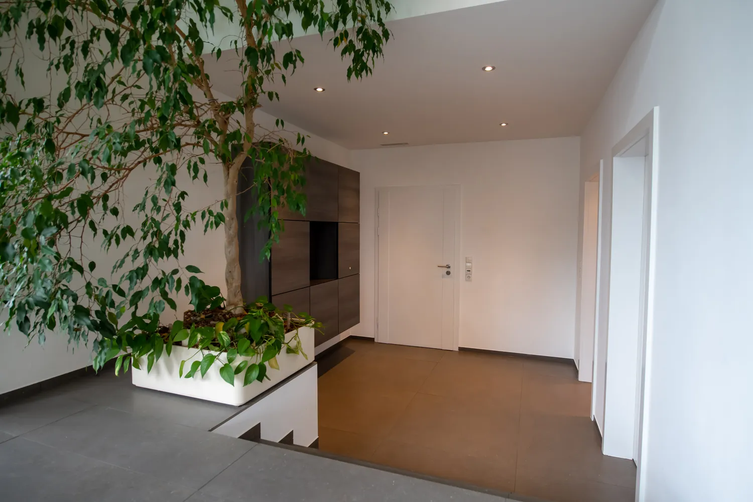 5 room apartment with 242 m² in Ludwigshafen am Rhein – Photo 5