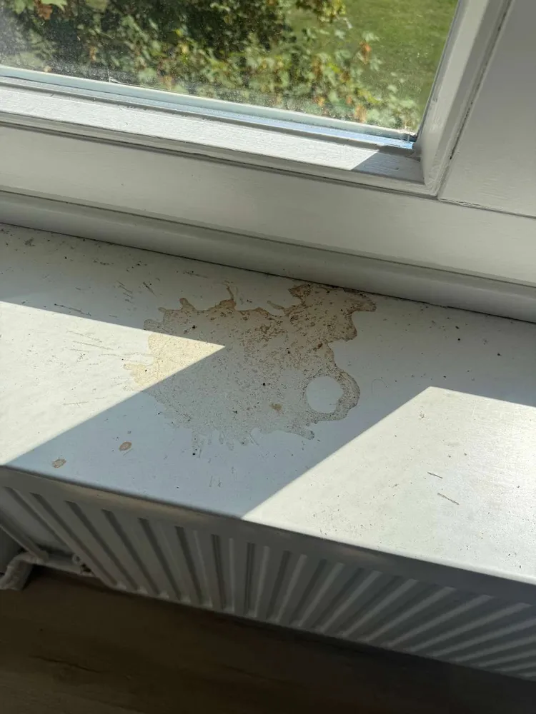 2 room apartment with 45 m² in Magdeburg – Photo 12