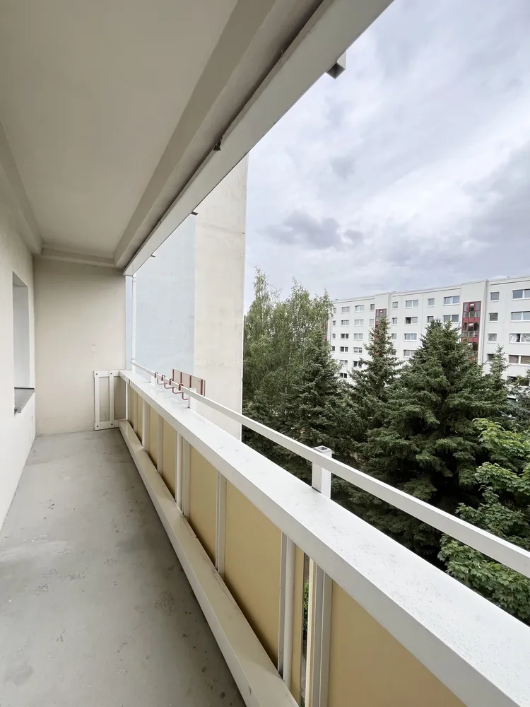 3 room apartment with 64 m² in Dresden – Photo 10