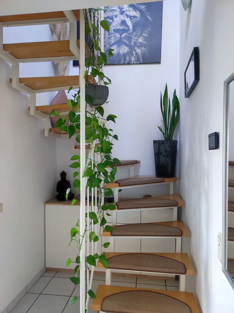 3 Zimmer Wohnung mit 67 m² in Köln – Bild 1